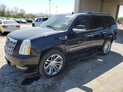 Salvage cars for sale at Fort Wayne, IN auction: 2011 Cadillac Escalade Platinum
