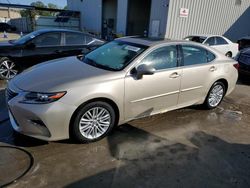 Salvage cars for sale at New Orleans, LA auction: 2016 Lexus ES 350