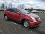 2013 Cadillac SRX Luxury Collection