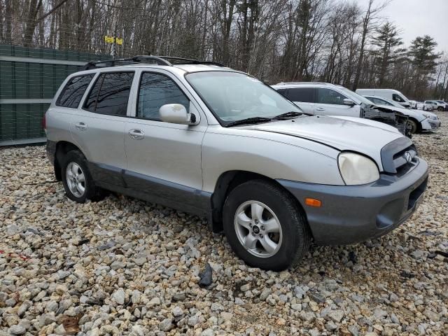 2005 Hyundai Santa FE GLS