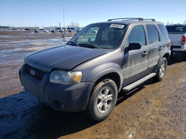 2006 Ford Escape XLT