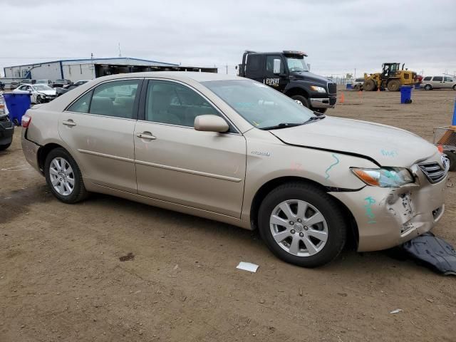 2007 Toyota Camry Hybrid