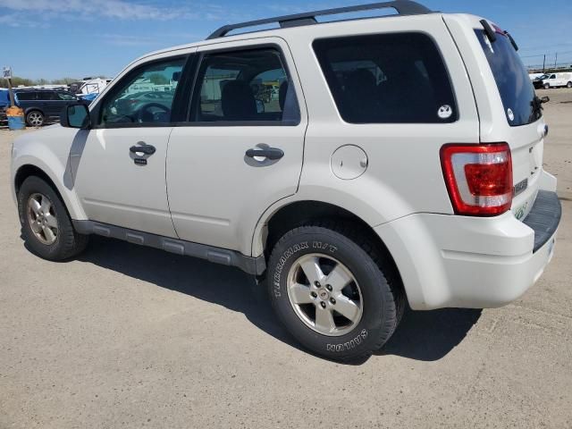 2010 Ford Escape XLT