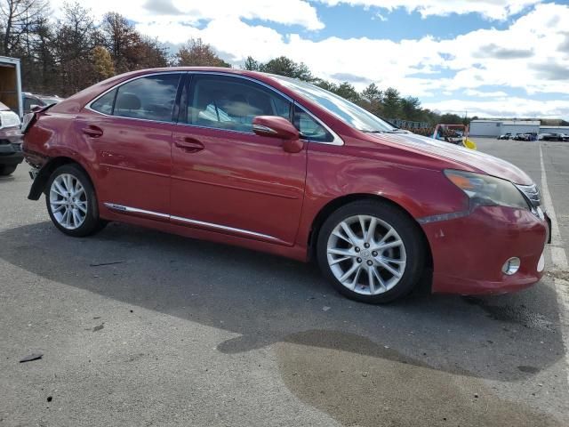 2010 Lexus HS 250H