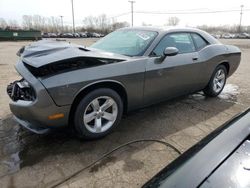 Salvage cars for sale at Woodhaven, MI auction: 2009 Dodge Challenger SE