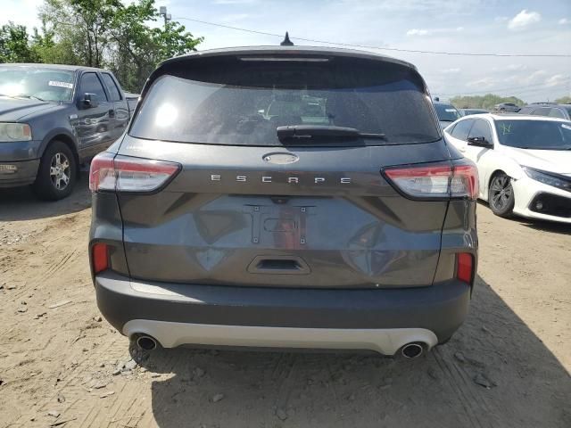 2020 Ford Escape SE Sport