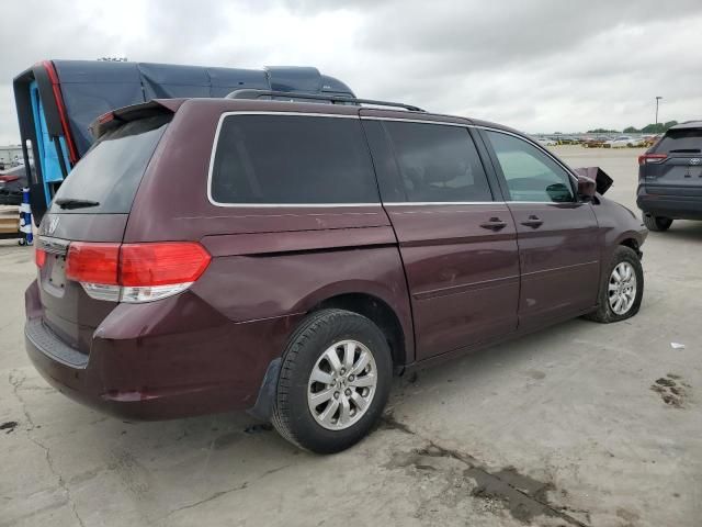 2010 Honda Odyssey EXL