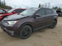 Salvage cars for sale from Copart Bowmanville, ON: 2017 Toyota Rav4 XLE
