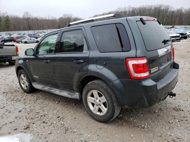 2008 Ford Escape HEV