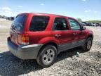 2005 Ford Escape XLT