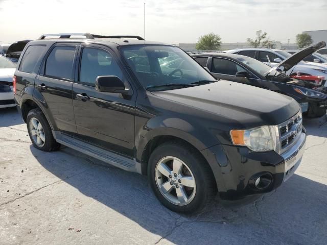 2010 Ford Escape Limited