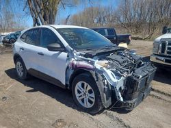 Salvage cars for sale at Ottawa, ON auction: 2020 Ford Escape S