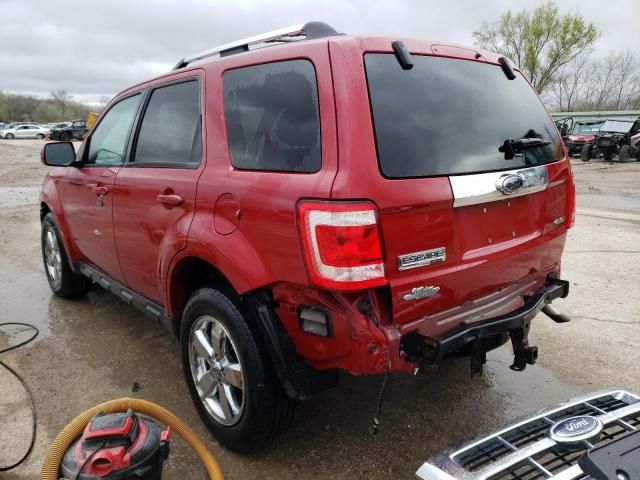 2009 Ford Escape Limited