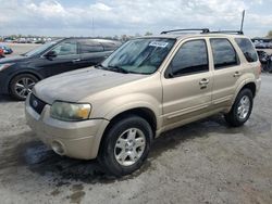 Ford salvage cars for sale: 2007 Ford Escape Limited