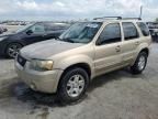 2007 Ford Escape Limited