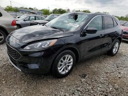 Salvage cars for sale from Copart Louisville, KY: 2020 Ford Escape SE