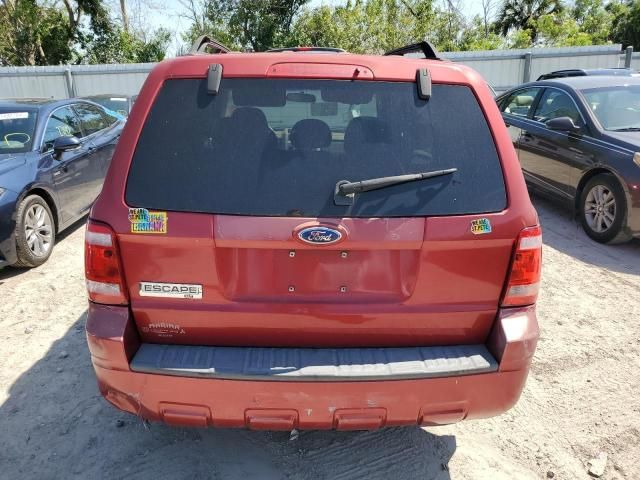 2008 Ford Escape XLT