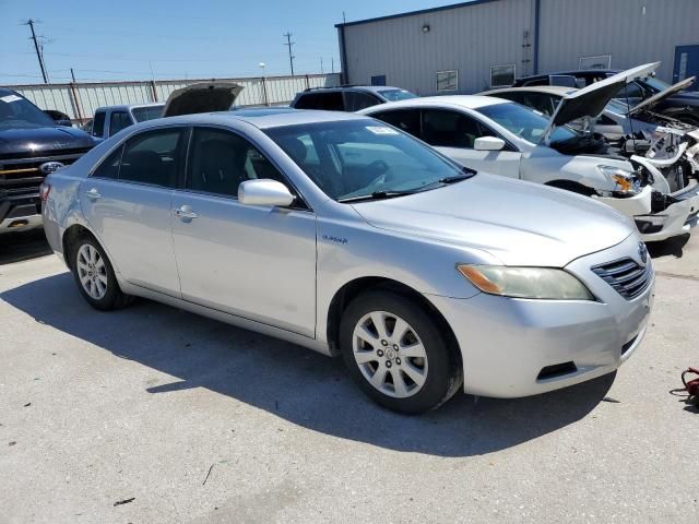 2008 Toyota Camry Hybrid