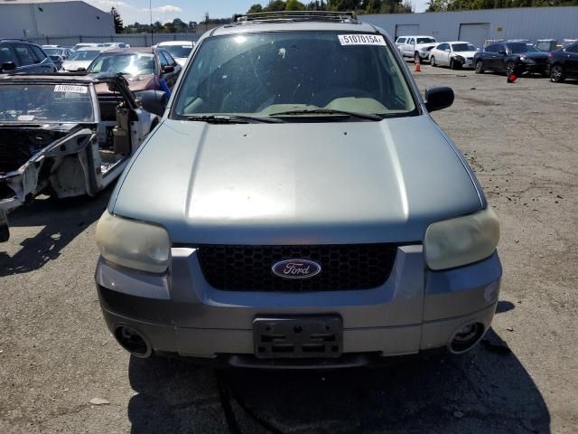 2005 Ford Escape XLT