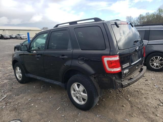 2011 Ford Escape XLT