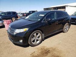 Salvage cars for sale at Brighton, CO auction: 2011 Toyota Venza
