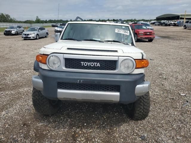 2010 Toyota FJ Cruiser