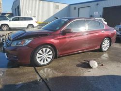 Salvage cars for sale at New Orleans, LA auction: 2014 Honda Accord EXL
