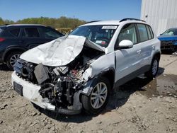 Salvage cars for sale from Copart Windsor, NJ: 2017 Volkswagen Tiguan S