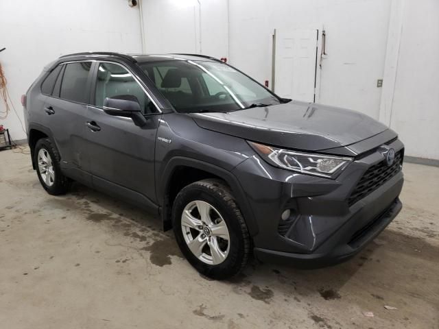 2020 Toyota Rav4 XLE