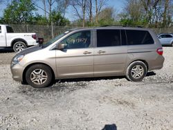 Honda Odyssey exl salvage cars for sale: 2007 Honda Odyssey EXL