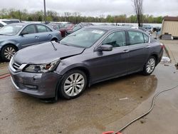 Salvage cars for sale at Louisville, KY auction: 2015 Honda Accord EXL