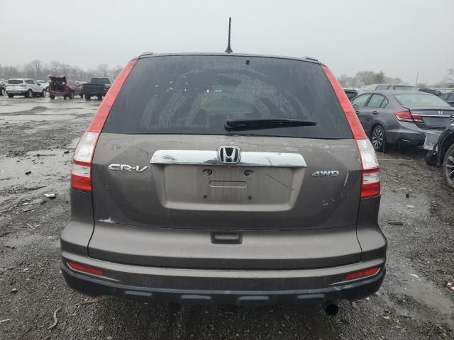 2010 Honda CR-V EX