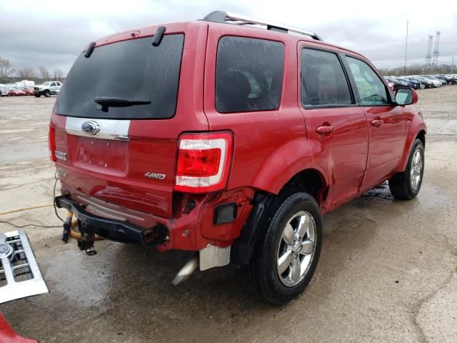 2009 Ford Escape Limited