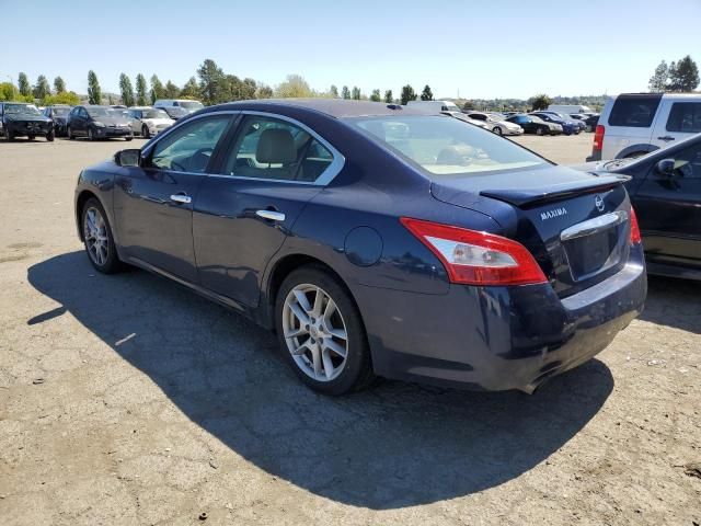 2010 Nissan Maxima S