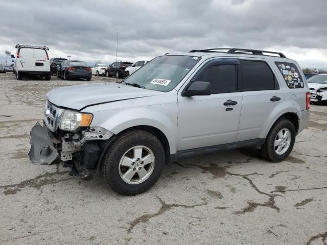 2011 Ford Escape XLT