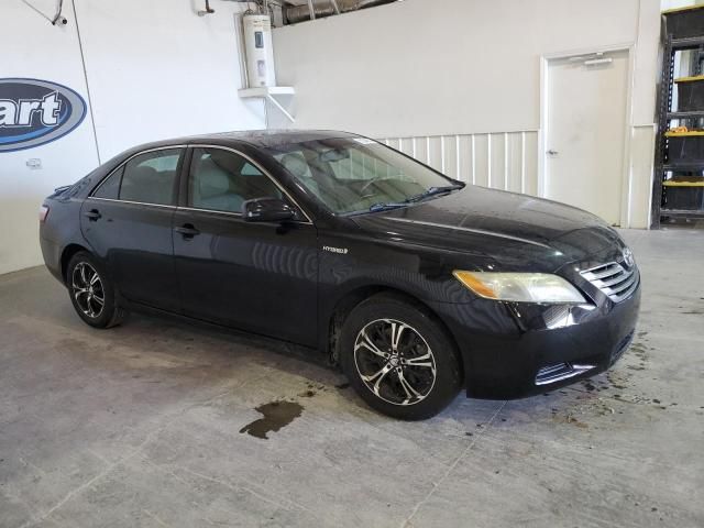 2007 Toyota Camry Hybrid