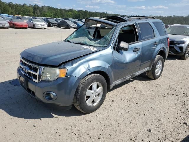 2011 Ford Escape XLT