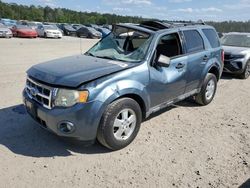 Salvage cars for sale at Harleyville, SC auction: 2011 Ford Escape XLT