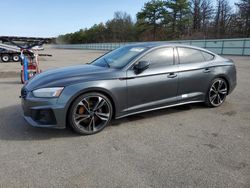 Salvage cars for sale at Brookhaven, NY auction: 2023 Audi S5 Prestige