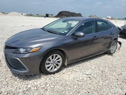 Salvage cars for sale at Temple, TX auction: 2024 Toyota Camry LE