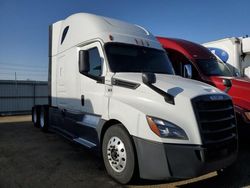 Salvage trucks for sale at Elgin, IL auction: 2019 Freightliner Cascadia 126