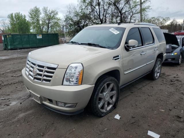 2008 Cadillac Escalade Luxury