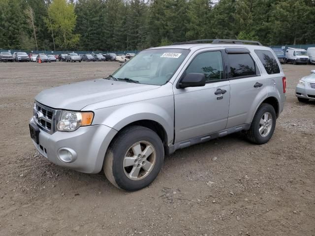 2010 Ford Escape XLT