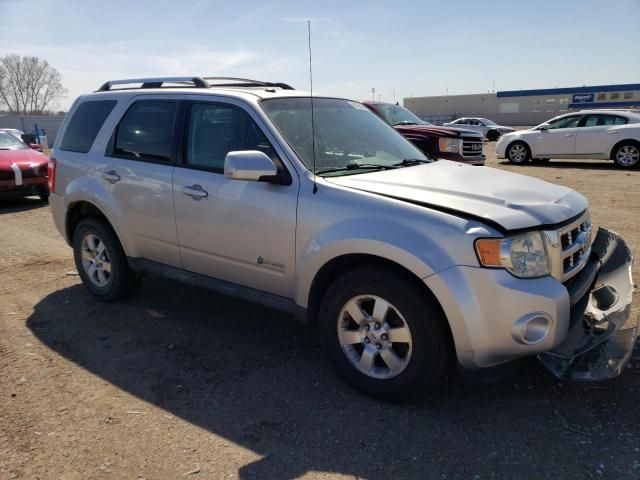 2010 Ford Escape Hybrid