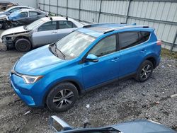 Salvage cars for sale from Copart Albany, NY: 2017 Toyota Rav4 XLE