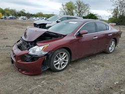 Salvage cars for sale from Copart Baltimore, MD: 2009 Nissan Maxima S