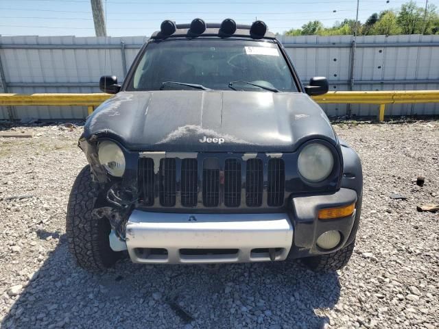 2004 Jeep Liberty Renegade