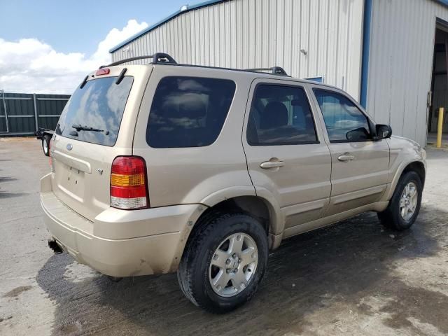 2007 Ford Escape Limited