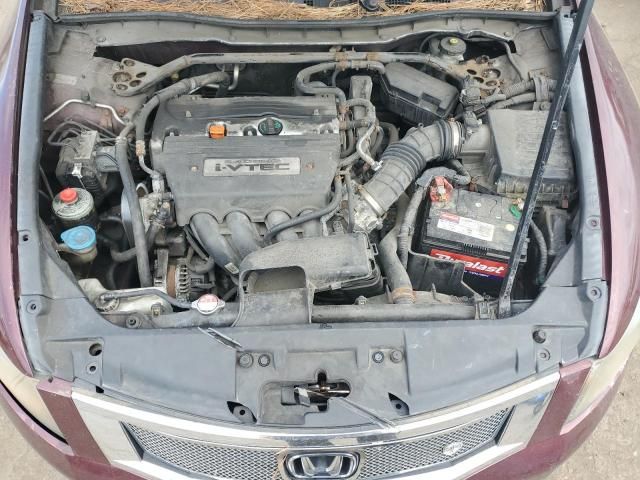 2008 Honda Accord EXL