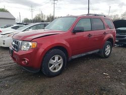 Salvage cars for sale at Columbus, OH auction: 2012 Ford Escape XLT